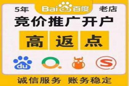 百度搜索推广案例集锦：实战技巧分享